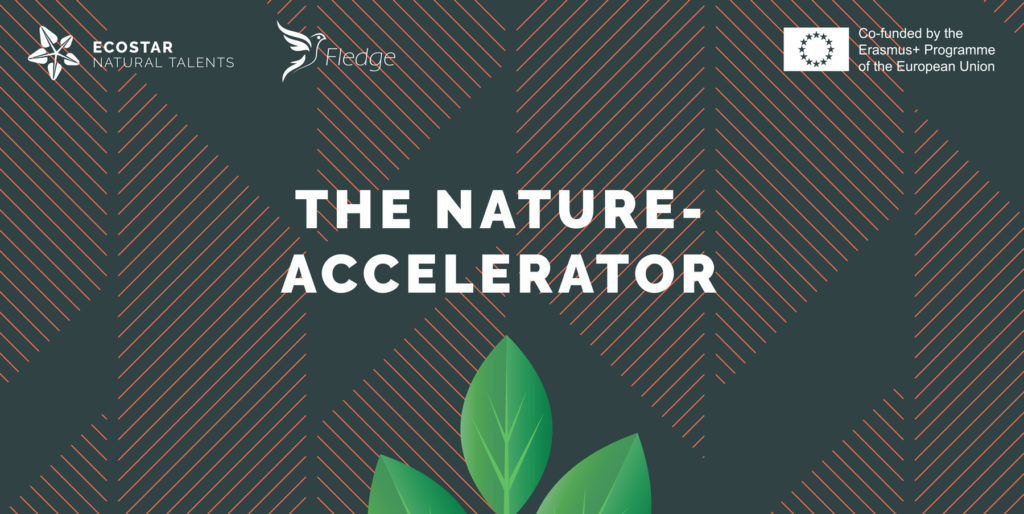 ECOSTAR THE NATURE-ACCELERATOR
