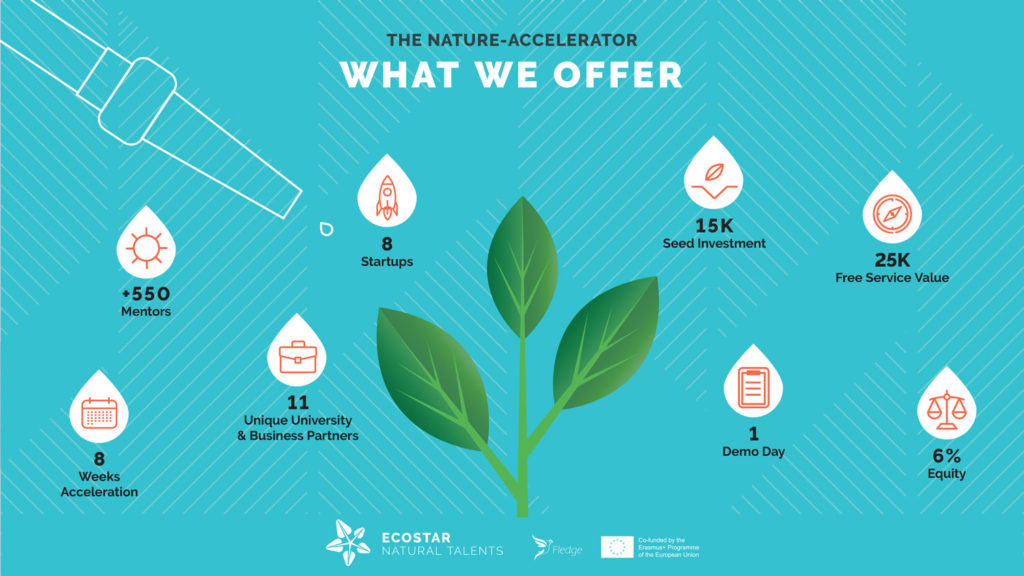 ECOSTAR THE NATURE ACCELERATOR