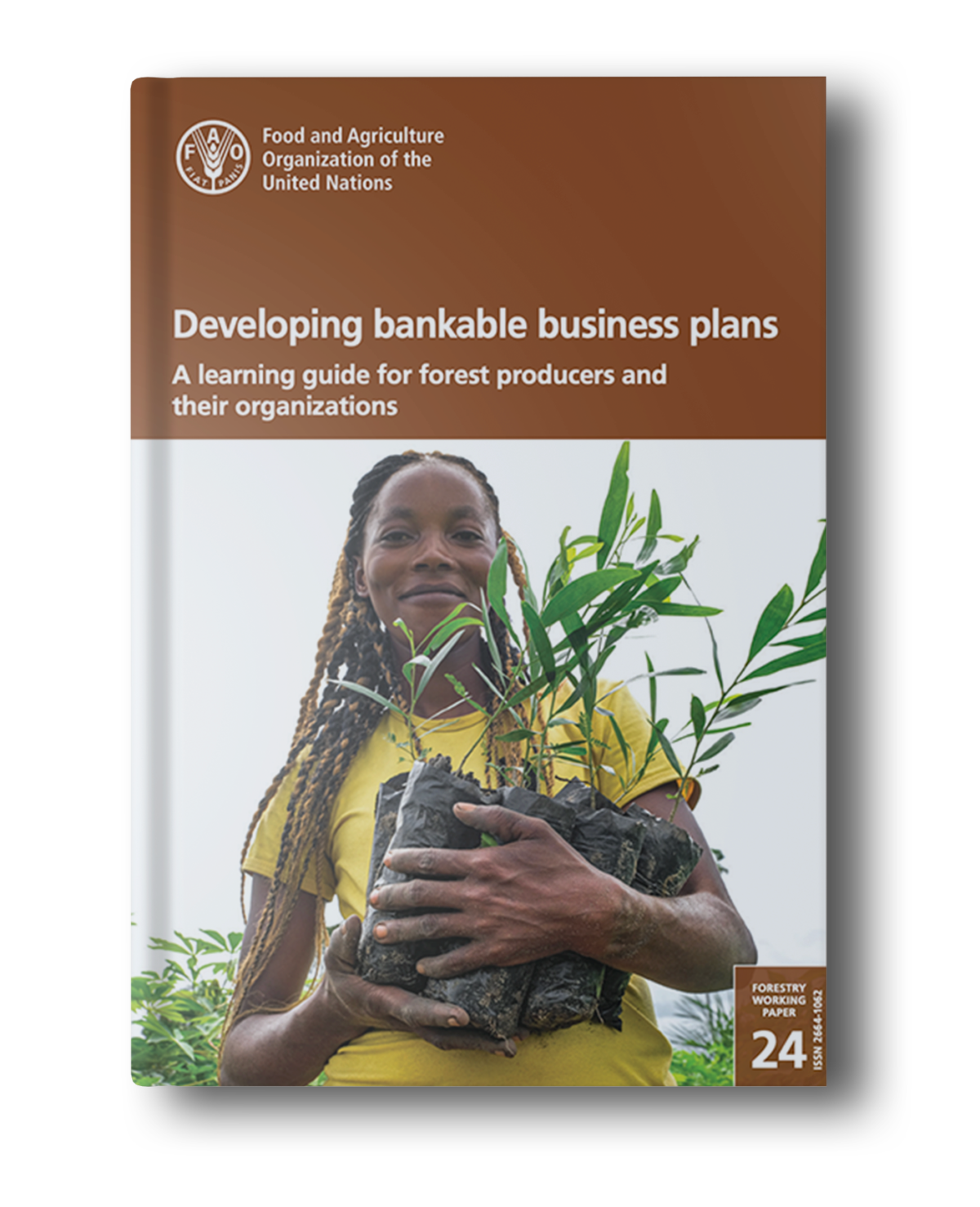Developing bankable business plans - Etifor