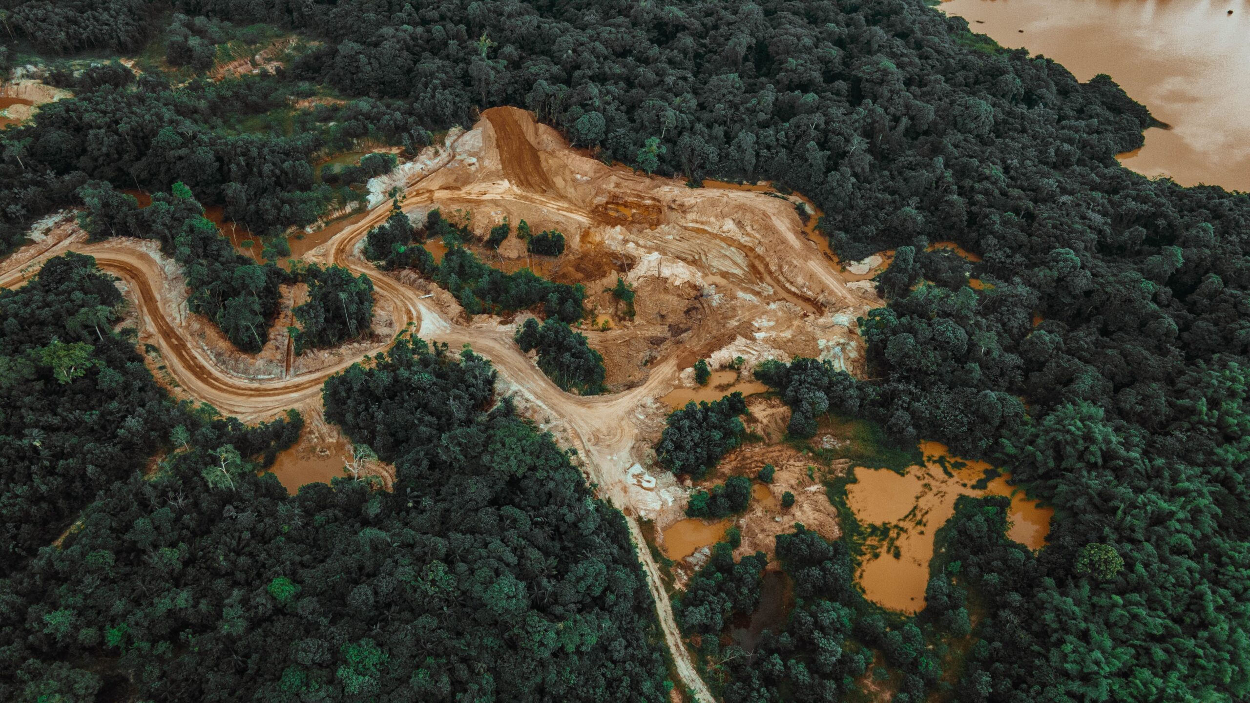 Brazil deforestation regulation