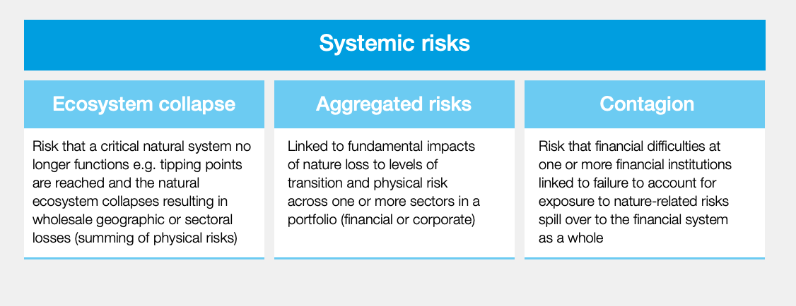 Types of systemic risks associated with the decline and degradation of nature. Source: World Economic Forum, 2022