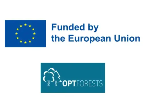 OptFORESTS