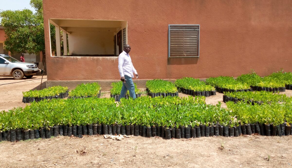 Progetti di sostenibilità ambientale: 5 esempi realizzati da Etifor