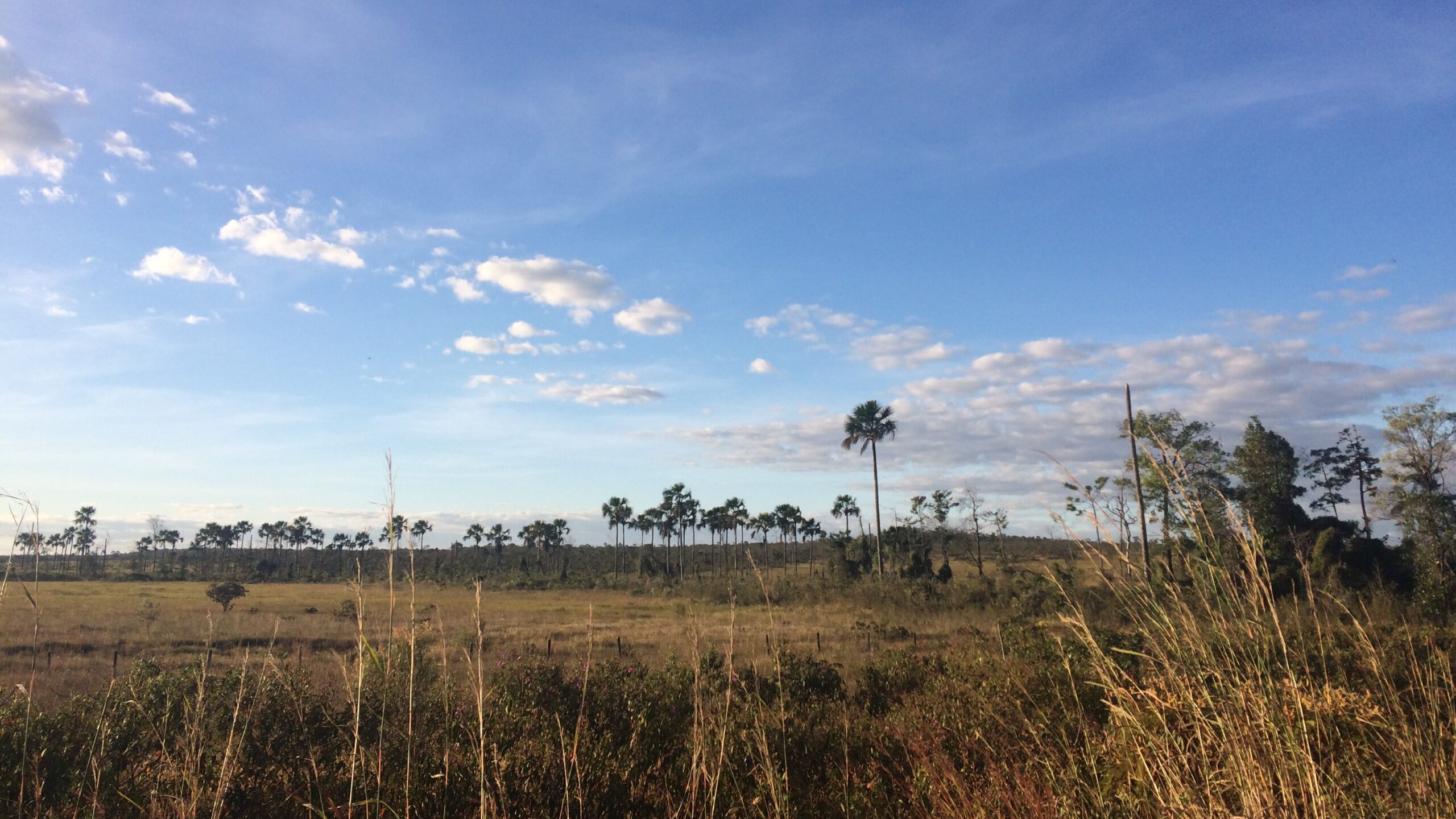 Chapada dos Veadeiros (Goiás, Brazil) 2020, by Helena Leonel Ferreira