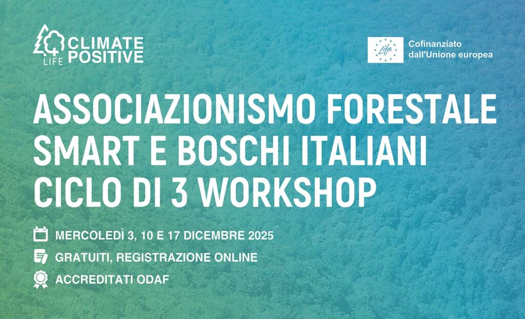 Workshop-presentazione-toolkit-BOX-newsletter-WEB