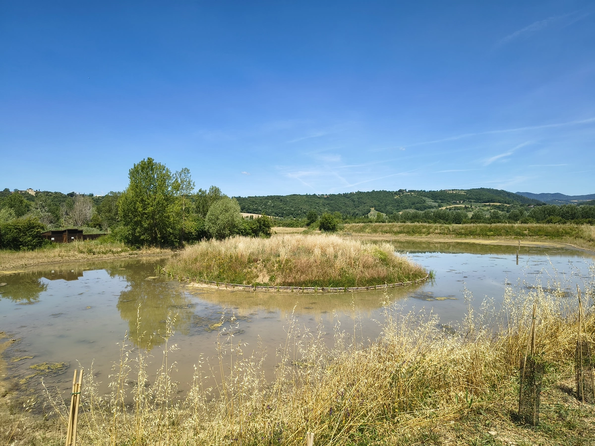 <span class='titolo_parte_1'>IMG_20260612_113159256_HDR</span>