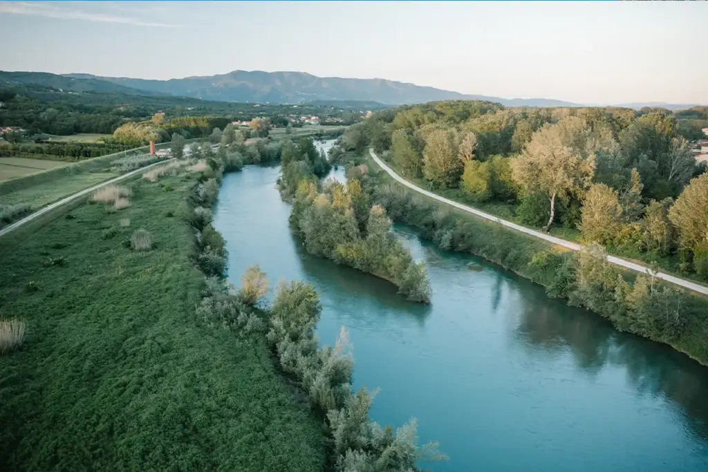 arno_header