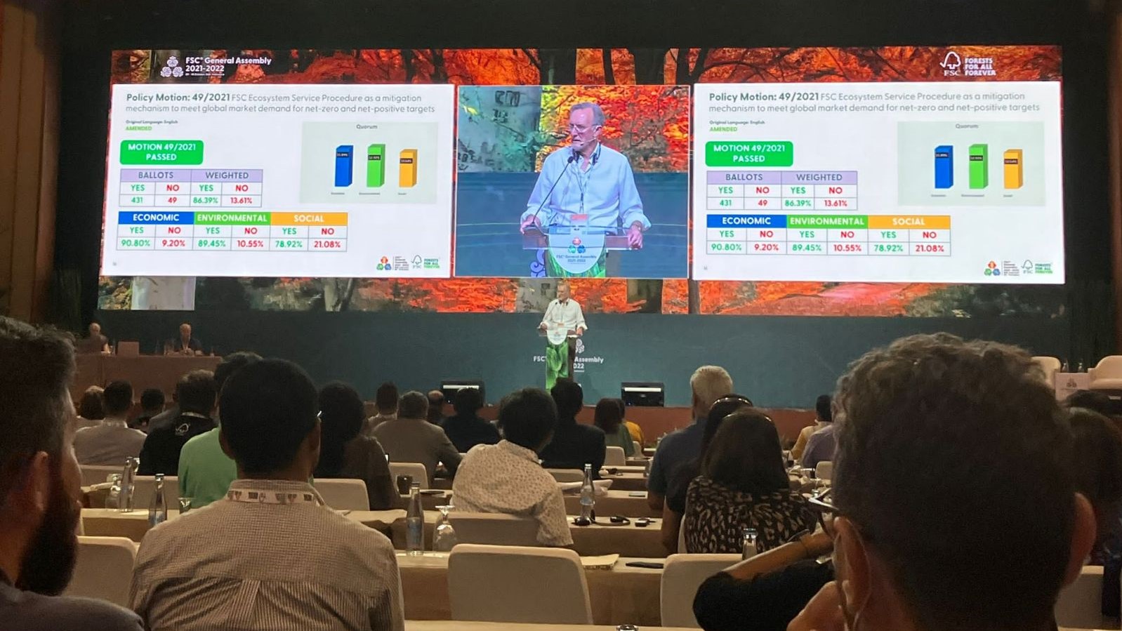 Chapada dos Veadeiros (Goiás, Brazil) 2020, by Helena Leonel Ferreira