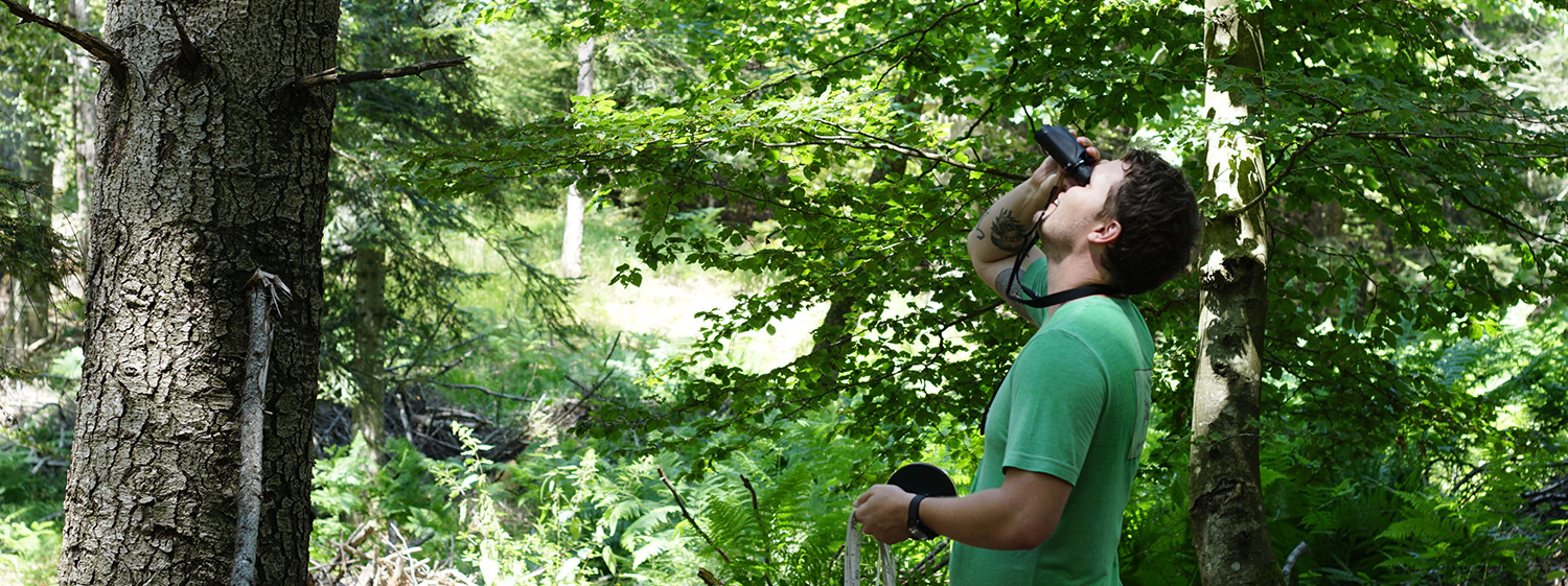 Chapada dos Veadeiros (Goiás, Brazil) 2020, by Helena Leonel Ferreira