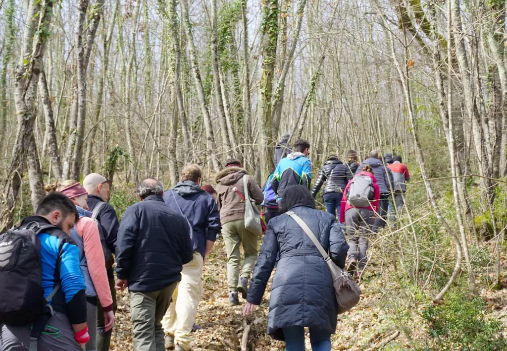 Deforestation-free supply chains & EUDR due diligence