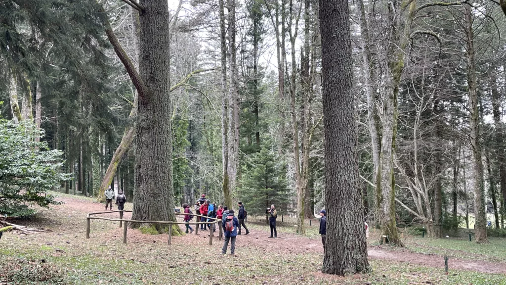 Deforestation-free supply chains & EUDR due diligence